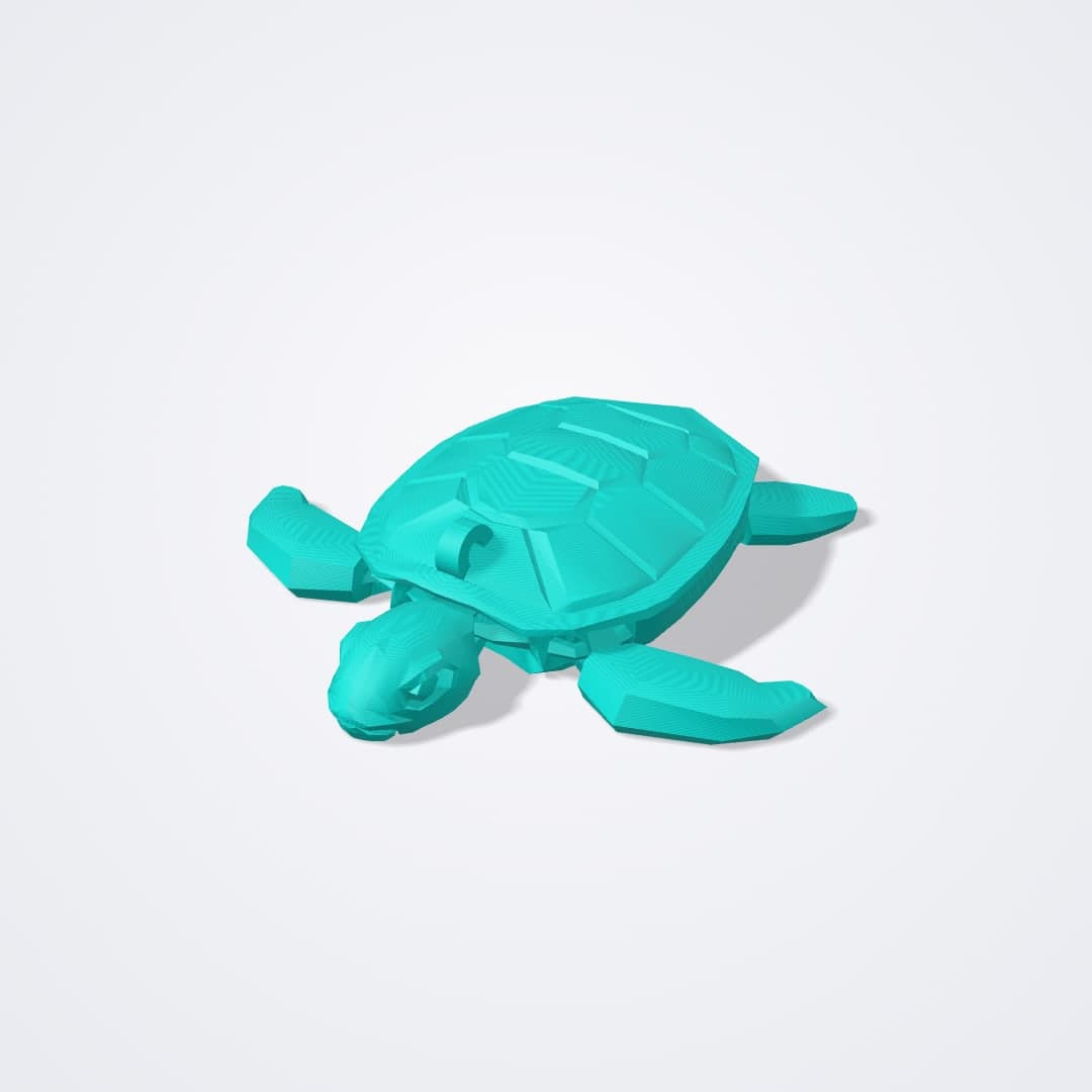 Llavero Tortuguita Flexi